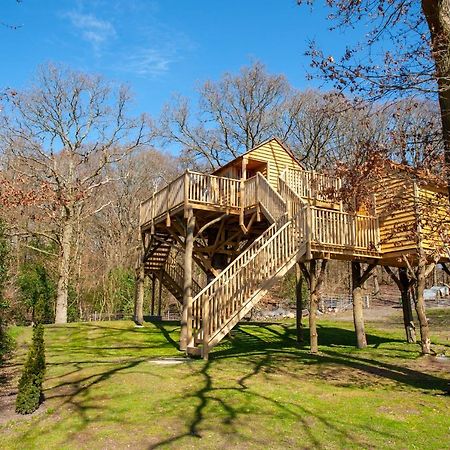 Oakside Tree Tops 캔터베리 외부 사진